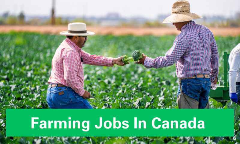 Farming jobs in Canada